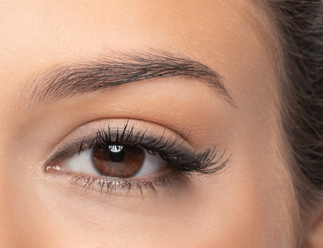 Definierte Augenbrauen werden mit einer Bürste, einem Augenbrauen-Pinsel und Puder geschminkt