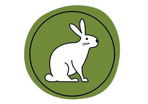 Ein Hase auf einem grünen Hintergrund